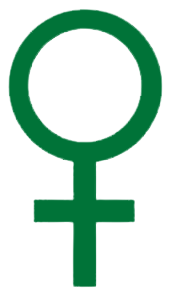 Gynecological Problem Icon